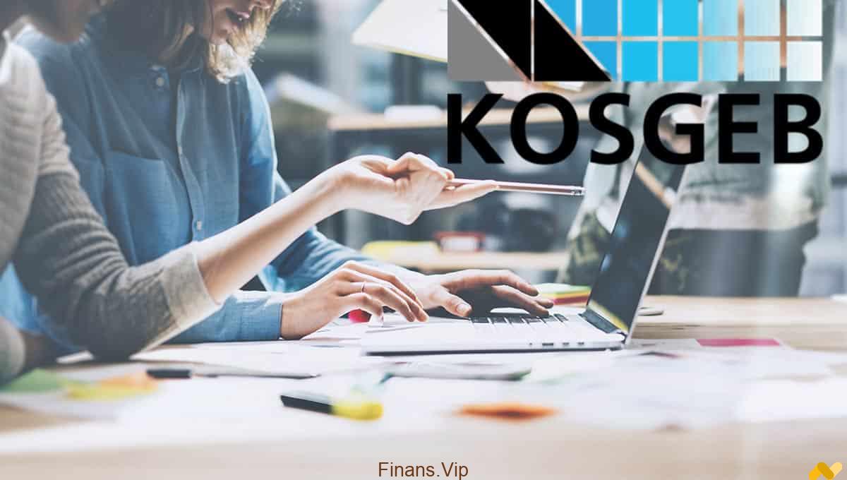 KOSGEB Başvurusu E-Devlet Üzerinden Nasıl Yapılır?