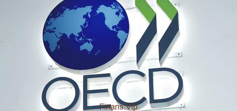 OECD Nedir? OECD Ne Yapar? OECD Ülkeleri Hangileridir?