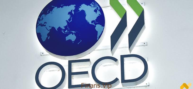 OECD Nedir? OECD Ne Yapar? OECD Ülkeleri Hangileridir?