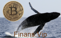 Bitcoin’de Dev Balinaların Görevi Nedir?
