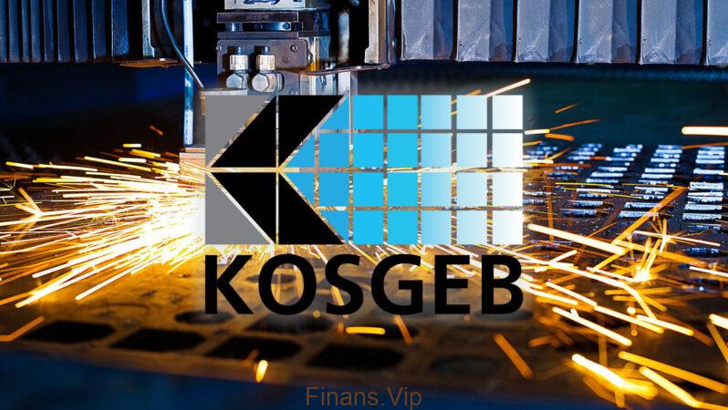 Kosgeb Engelli Kredisi Nasıl Alınır?